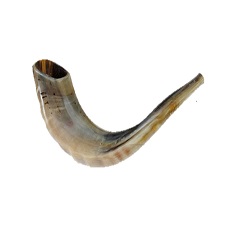 16-42 Decorative Functional Jewish Gifts for Women & Men by Holy Voice,Polished 36-39 Musical Horn Handcrafted Kosher Kudu Shofar from Israel & Shofar Bag Anti Odor Spray 