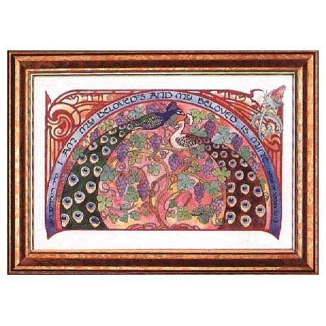 Ani L'dodi V'dodi Li Peacocks Framed Art Print