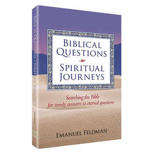 Biblical Questions, Spiritual Journeys - Paperback