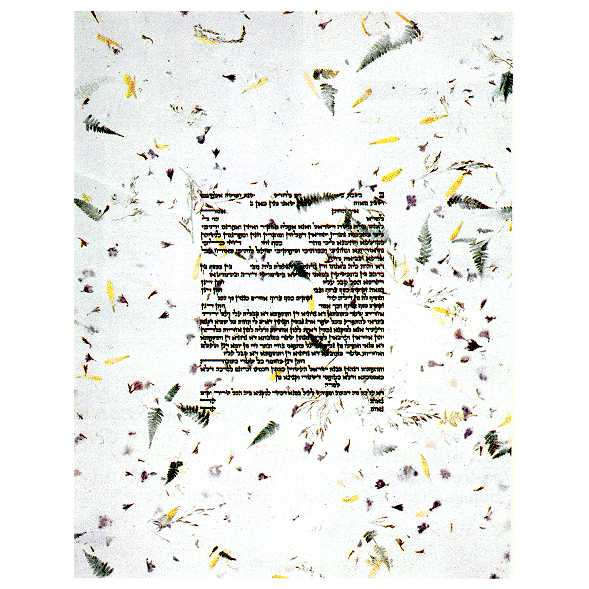 Eco Ketubah - 20 X 26