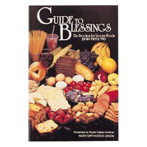 Guide To Blessings [Ncsy Publ.] Paperback