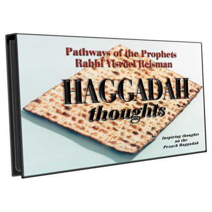 Haggadah Thoughts - 2 Cds [Reisman] -Perfect For Passover