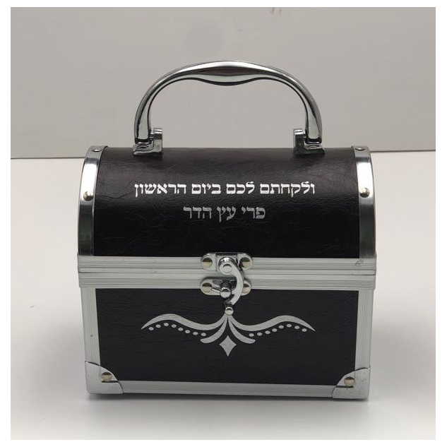 Hard Treasure Chest Etrog Box -Perfect For Sukkot