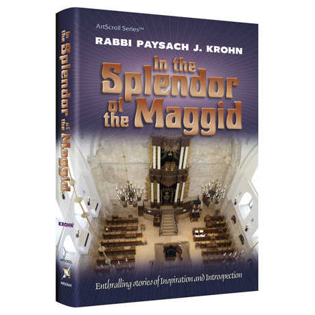 In The Splendor Of The Maggid - Hardcover