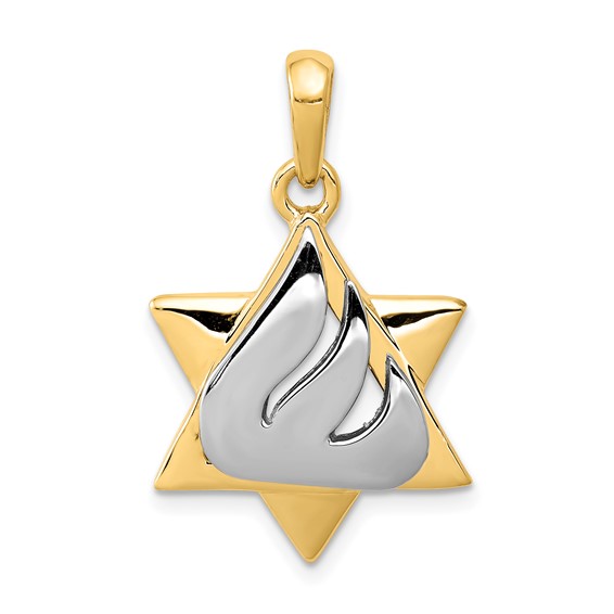 14K Two-Tone Gold Shin Star Of David Pendant