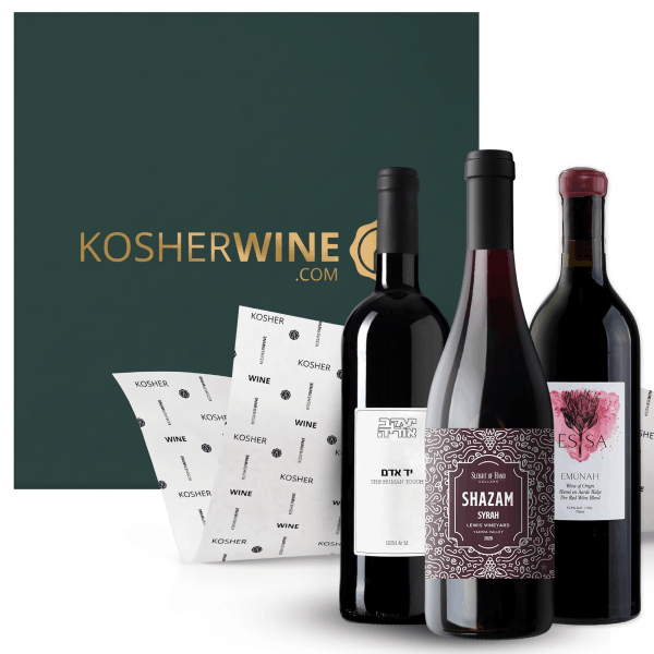 Premium Red Wine Gift Set