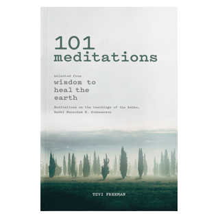 101 Meditations - Selected From Wisdom To Heal The Earth