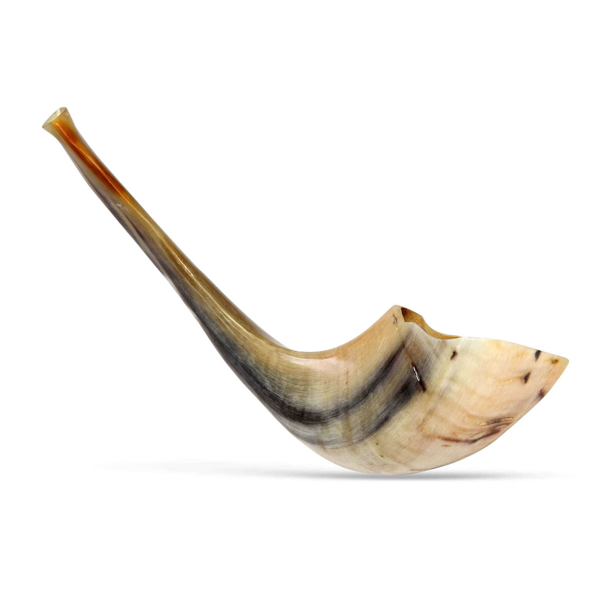 Moroccan Ram's Horn Shofar