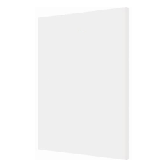 Ncsy Bencher/spanish-White [Ncsy Publ.] Paperback