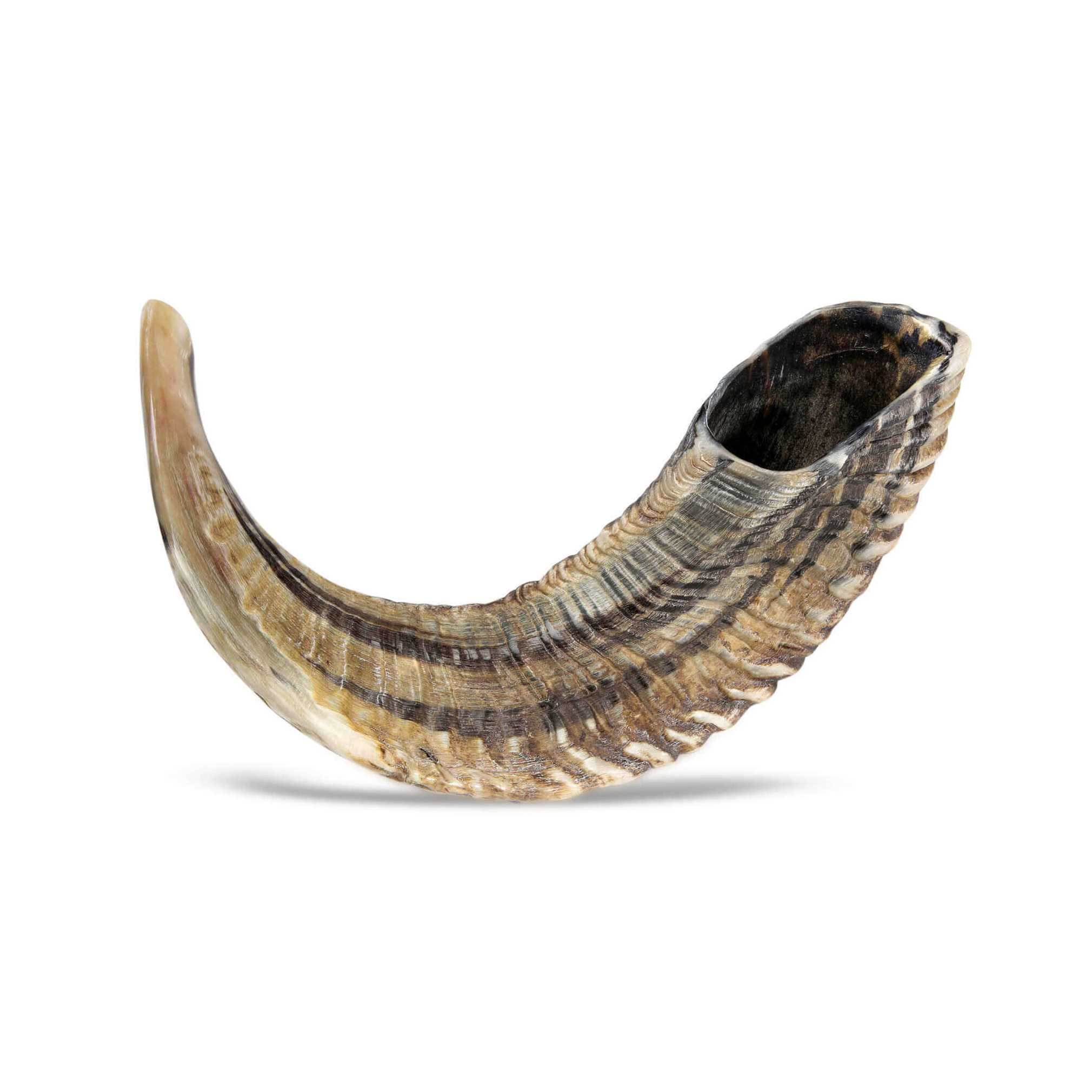 Polished Functional Jewish Gifts for Women & Men by Holy Voice 20-24 Decorative 16-42 Musical Horn Anti Odor Spray Handcrafted Kosher Kudu Shofar from Israel & Shofar Bag 
