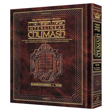 Schottenstein Ed Interlinear Chumash Vol 4: Bamidbar / Numbers