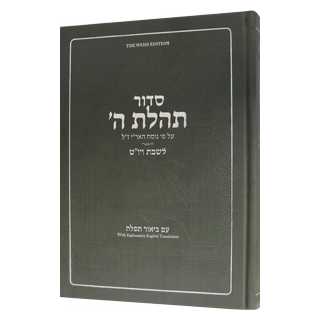 Siddur Shabbos & Yom Tov For Youth
