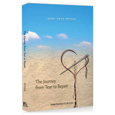 The Journey From Tear To Repair - Hardcover
