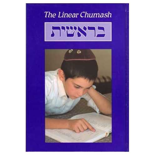 The Linear Chumash: Bereshit/genesis