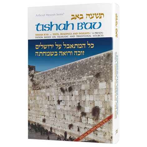 Tishah B'av: Texts, Readings, And Insights - Hardcover