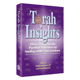 Torah Insights - Hardcover