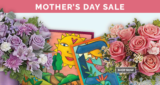 hanukkah store for kids