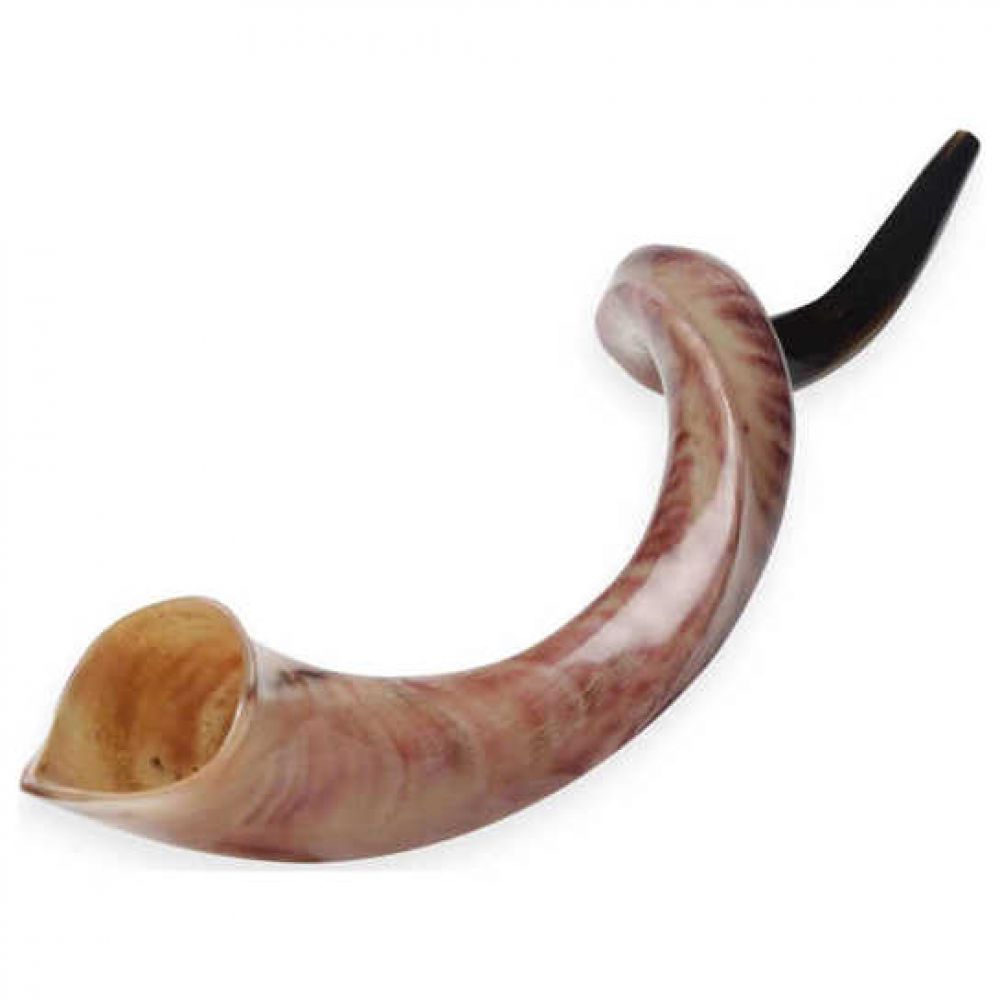 Shofars & Accessories